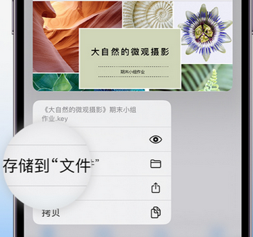 澜沧apple维修中心分享iPhone文件应用中存储和找到下载文件