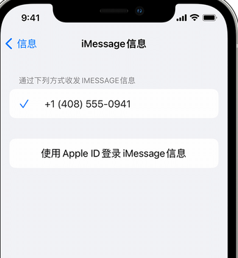 澜沧apple维修iPhone上无法正常发送iMessage信息