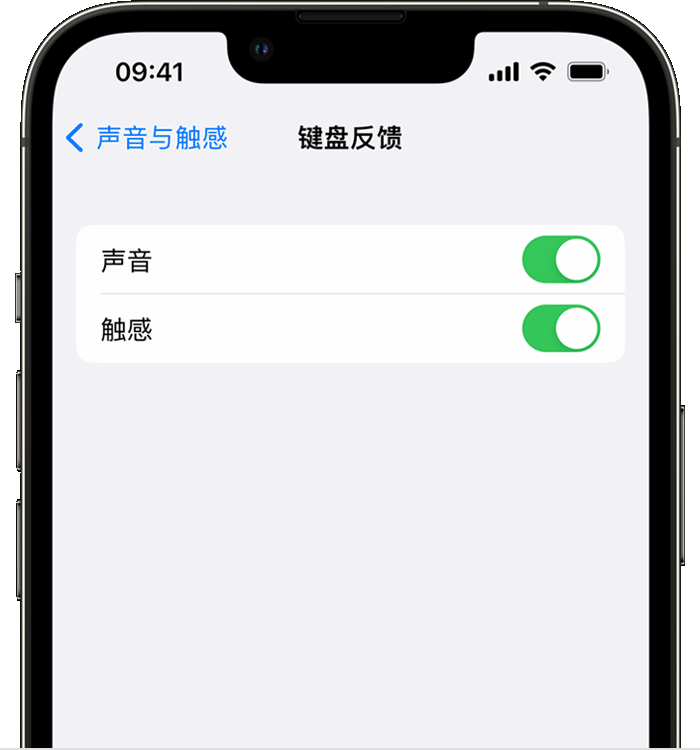 澜沧苹果14维修店分享如何在 iPhone 14 机型中使用触感键盘 