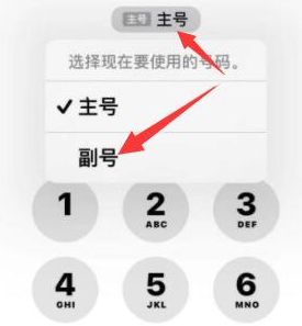 澜沧苹果14维修店分享iPhone 14 Pro Max使用副卡打电话的方法 