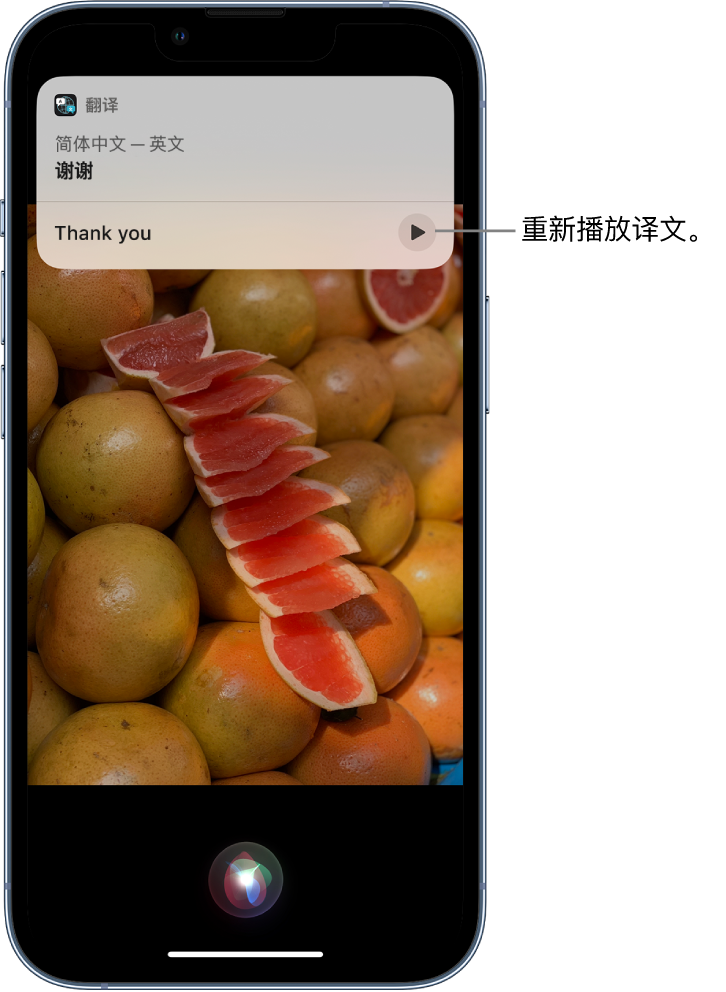 澜沧苹果14维修分享 iPhone 14 机型中使用 Siri：了解 Siri 能帮你做什么 