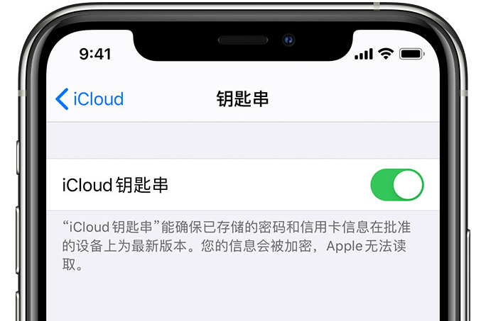 澜沧苹果手机维修分享在 iPhone 上开启 iCloud 钥匙串之后会储存哪些信息 